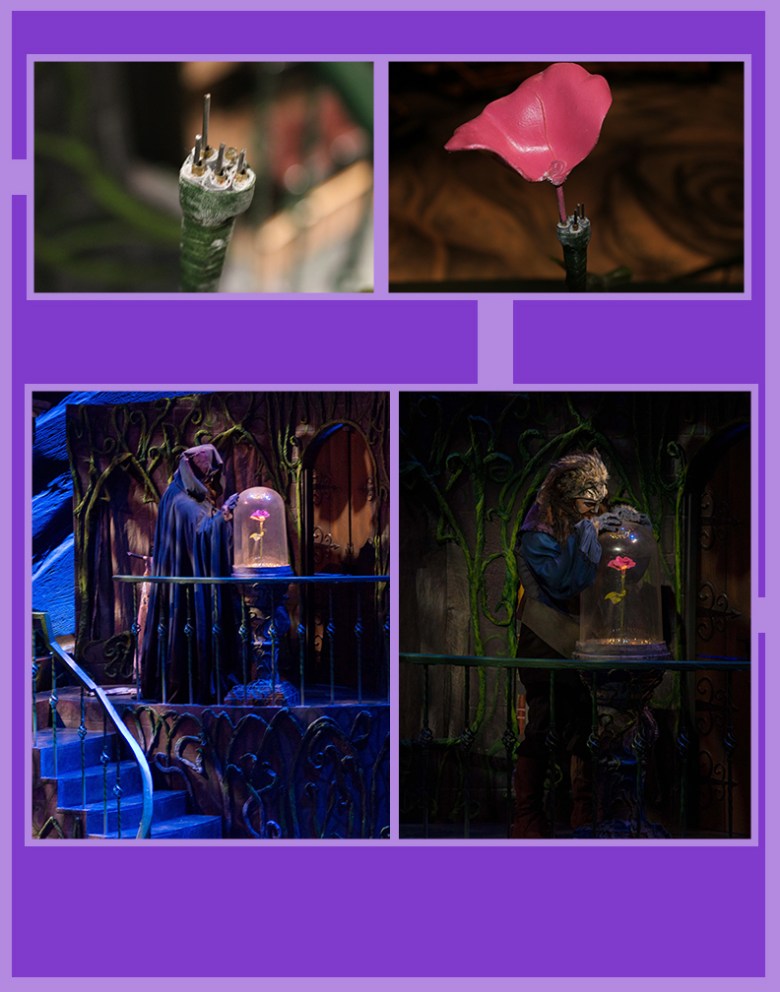 Portfolio Magic rose page 2