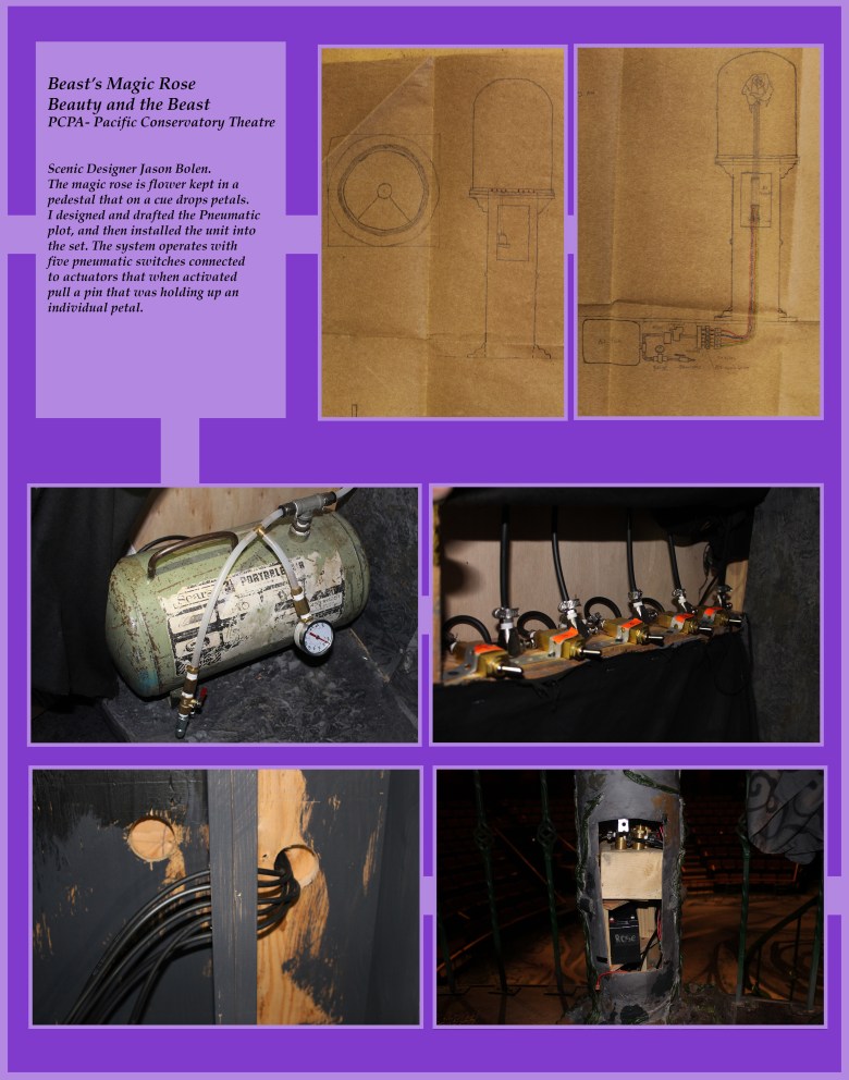 Portfolio magic rose.jpg